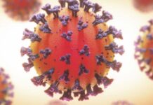 new strain coronavirus in india