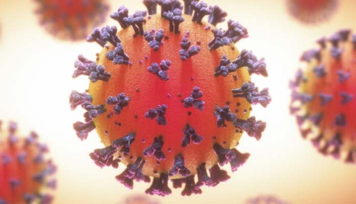 new strain coronavirus in india