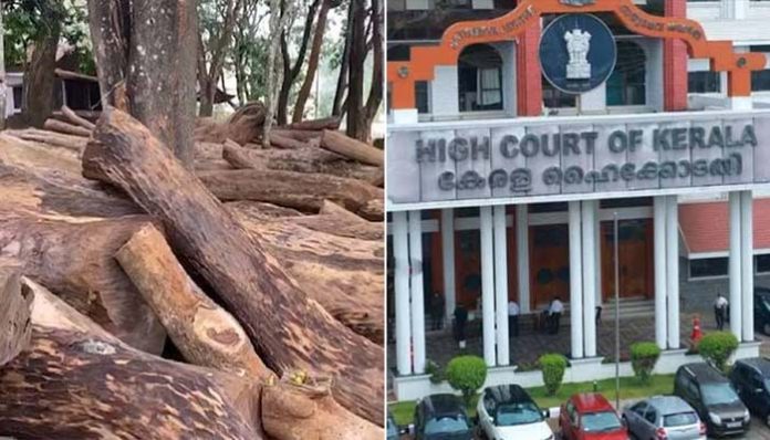 Muttil Tree Cutting Case