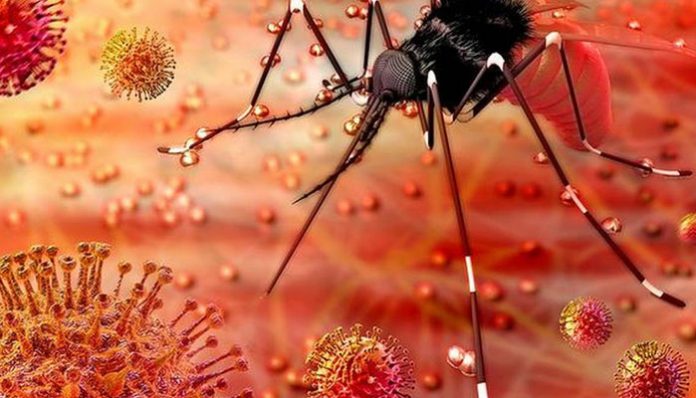 two-more-zika-virus-case-reported-in-kerala