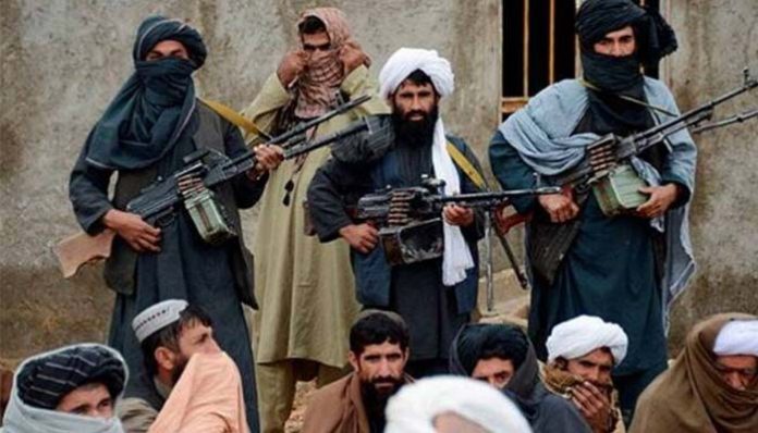 Taliban Terrorists