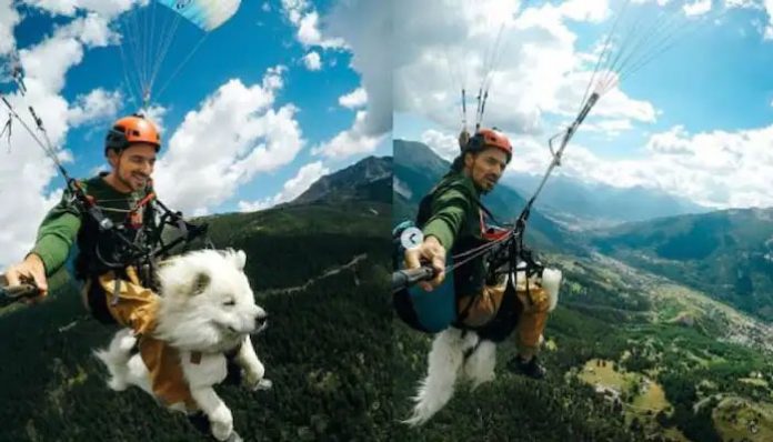 dog-paragliding-with-owner-viral-video