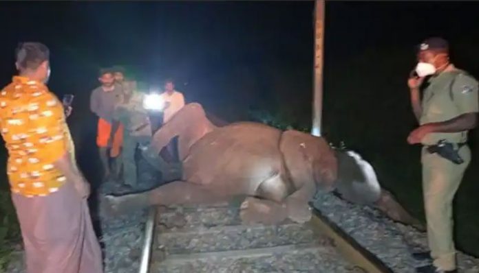 railway-and-forest-department-clash-in-relate-to-wild-elephant-death-cause-by-train-in-kerala-tamilnadu-border