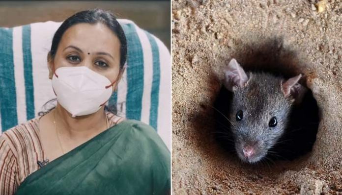 Rat Fever Kerala