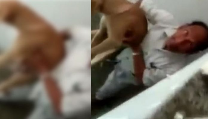 sixty-year-old-man-sexually-abuses-dog-daughter-in-law-posts-footage-on-mobile
