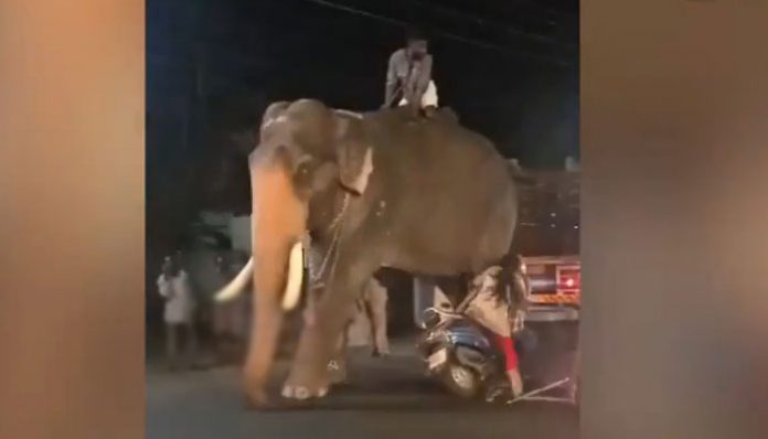 mahout-injured-in-accident-video