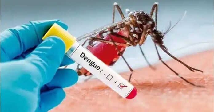 health-expert-warns-of-extreme-spread-of-dengue-fever-in-kerala