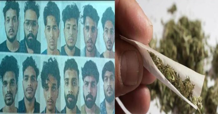 12 college students arrested for selling ganja in Mangaluru