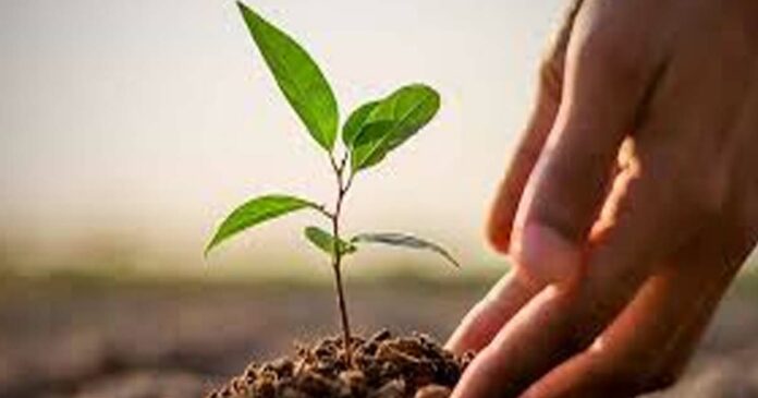 Tree Prosperity Project; 4798 saplings were planted in Pampakuda Block Panchayat