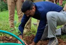 Amrit Big Project; Chalakudy Forest Division as a partner, started the project by planting saplings