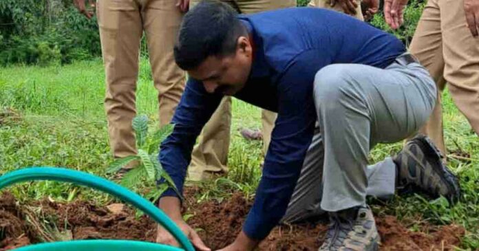 Amrit Big Project; Chalakudy Forest Division as a partner, started the project by planting saplings
