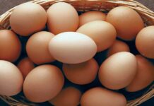 If you are an egg eater, you should know this; Hard-boiled egg eaters take note
