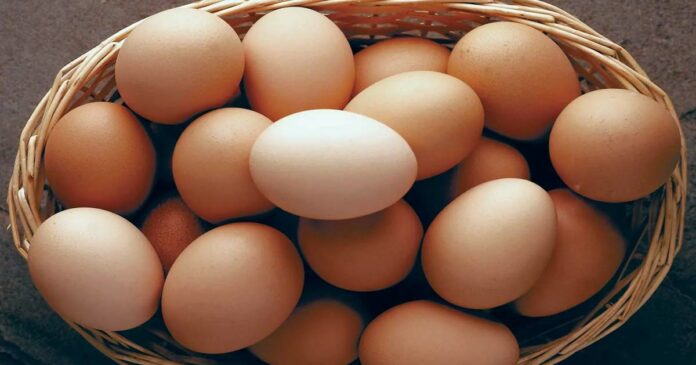 If you are an egg eater, you should know this; Hard-boiled egg eaters take note
