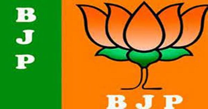 BJP's chariot race; Alpesh and Rivaba Jadeja of BJP increased their lead in Gujarat
