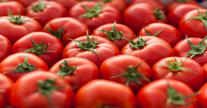 A farmer sold 17,000 baskets of tomatoes in Pune and earned Rs 2.8 crore!