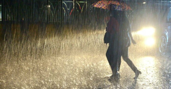 Widespread rain is likely in the state; Yellow alert in six districts; Fishing ban continues
