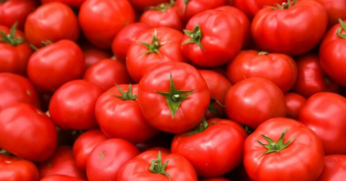 The lorry carrying tomatoes worth Rs 20 lakh is missing; Driver's phone switched off; Police registered a case and started investigation