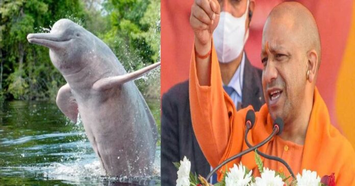 Yogi Adityanath declared the Ganga Dolphin as the state aquatic animal