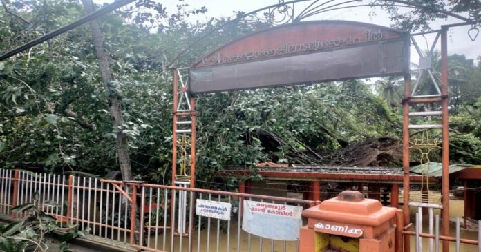 Banyan tree in Neyyatinkara Kollamkuzhi Madan temple uprooted; Damage to the temple and mandapam; No casualty
