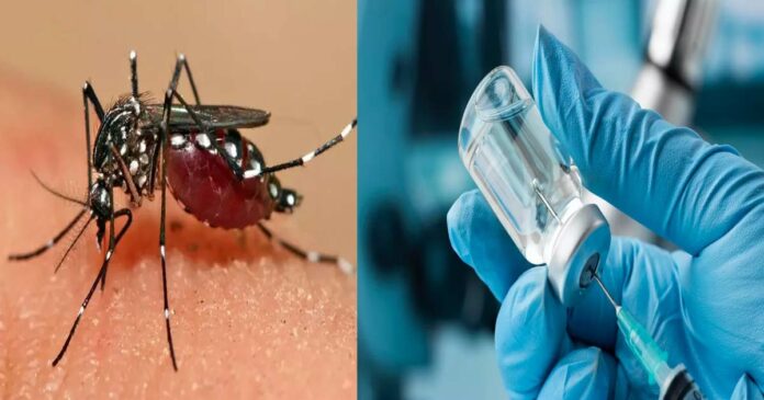 World's first vaccine for Chikungunya disease; Approved by the US Department of Health; It will be launched in the market under the name of Ixchik