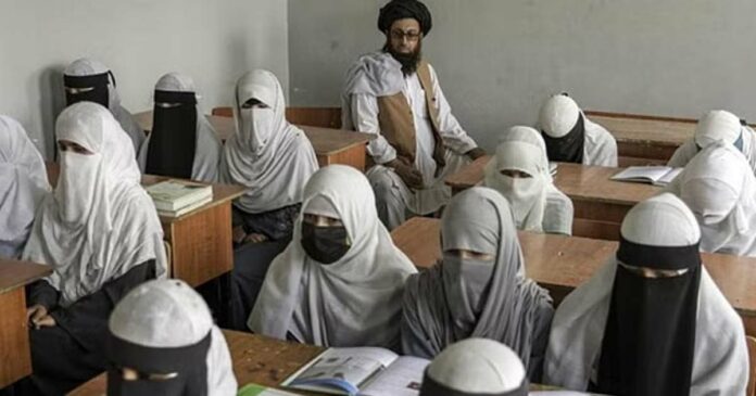 After the 6th grade, students are forced to drop out of school in Afghanistan!