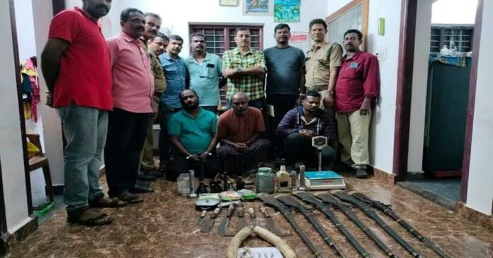Three arrested with ivory, local guns, bear teeth and bison ghee recovered from accused