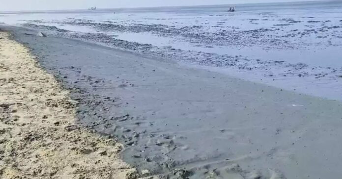 Don't worry! Revenue and Geology Department explained the intrusion of sea in Alappuzha; It is reported that the main part of Varkala beach has also been engulfed by the sea