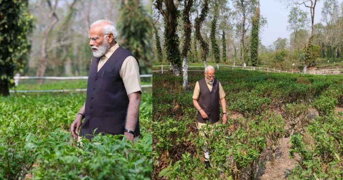 Prime Minister welcomes tourists to tea plantations in Assam; Assam Chief Minister thanked Modi