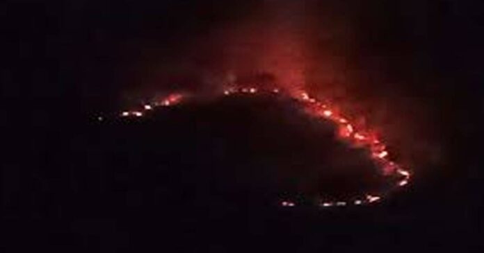 Forest department unable to bring under control the forest fire spreading in Sabarimala forest area which has been going on for three days; Experts say that the fire line was not shown due to financial crisis; Concerned that it will affect Masa Puja and festival