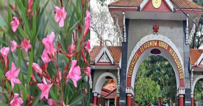 Do you want flowers in temples? The Devaswom Board will take a decision today