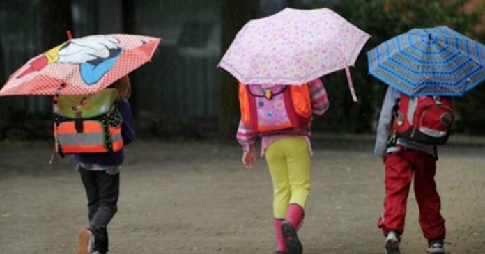 Heavy rain! Holiday for educational institutes in Thrissur and Wayanad tomorrow