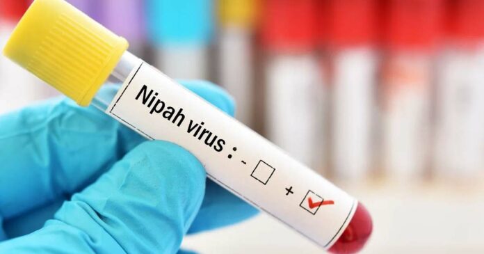 Doubt that Nipah; Kozhikode fourteen-year-old under treatment; The fluid will be sent for testing