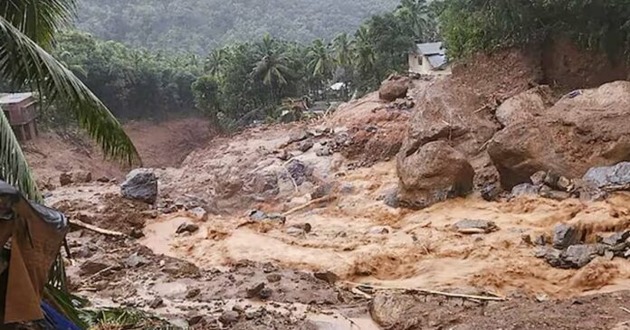 Wayanad tragedy! The local governing department has started data collection in three wards of Meppadi
