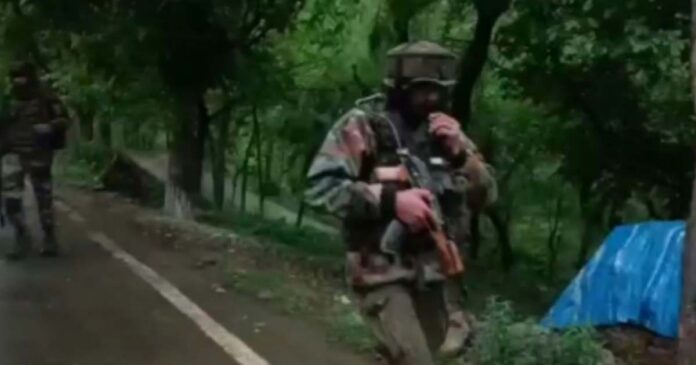 soldier