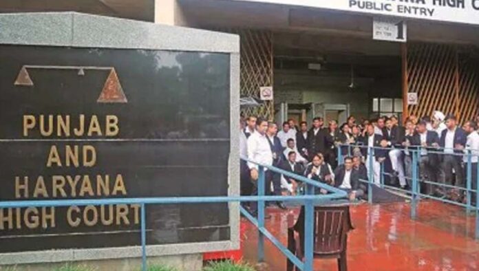 punjab - haryana highcourt