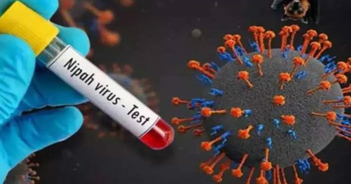 Nipah sparks panic: Patient's condition is critical; remains on ventilator, 15 people in quarantine