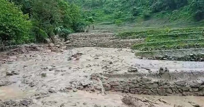 nagaland flood