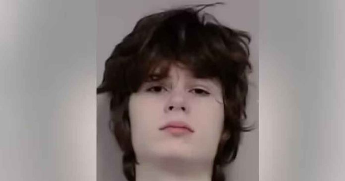 Plot to attack Hindu temple in Illinois, US: 19-year-old arrested